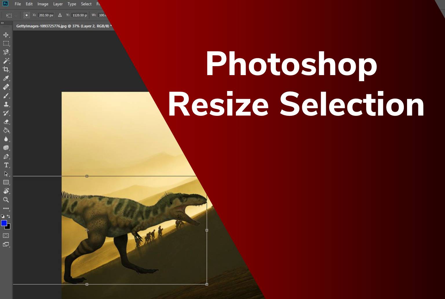 Photoshop Resize Selection