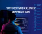Software Development Companies in Dubai